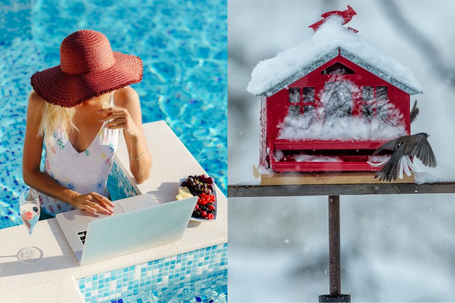 Remote Work in Summer vs Winter